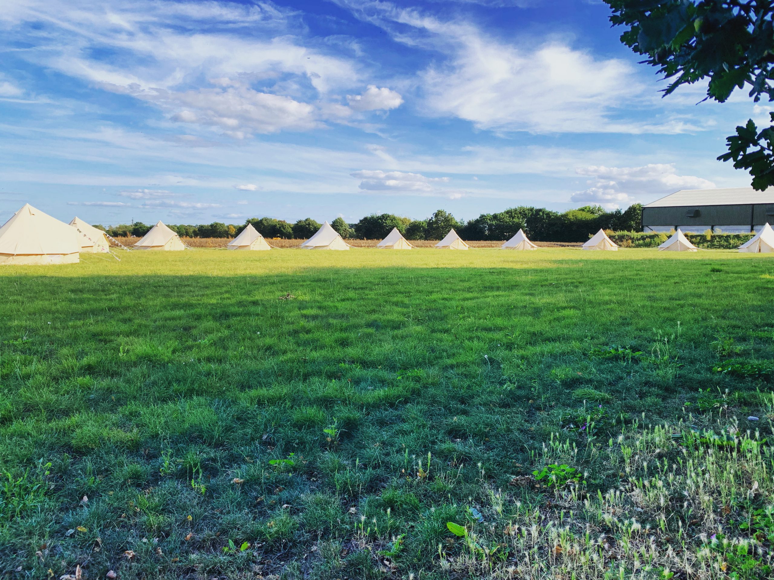 Bell Tent Village Essex • Victoria Lily Events